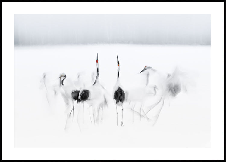 Kalligrafinen balettijuliste