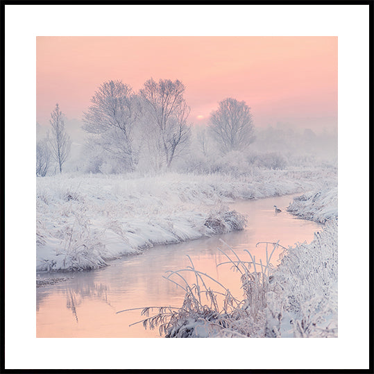 tie aurinkoon Juliste