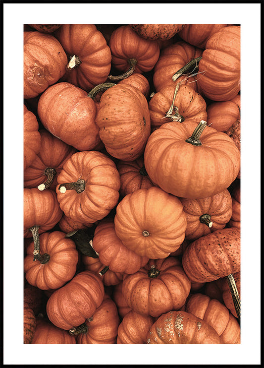 Pumpkin kauden juliste