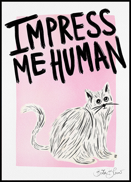 Kissanomistaja - Impress Me Human Juliste