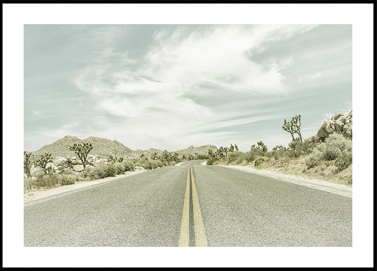 Vintage Joshua Trees, Park Boulevard -juliste