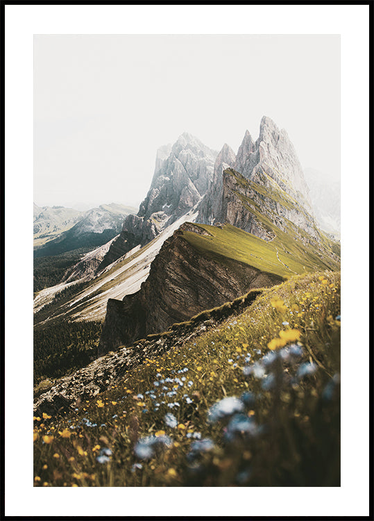 Alpine Blossoms and Peaks -juliste 