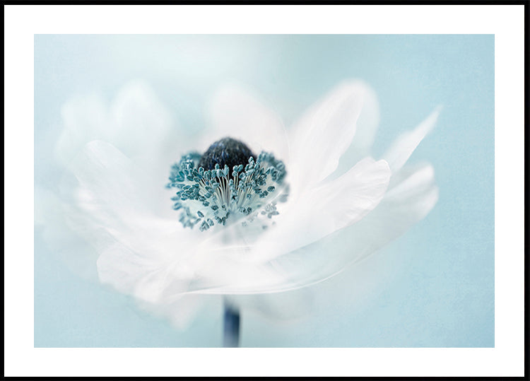 Candy floss -juliste