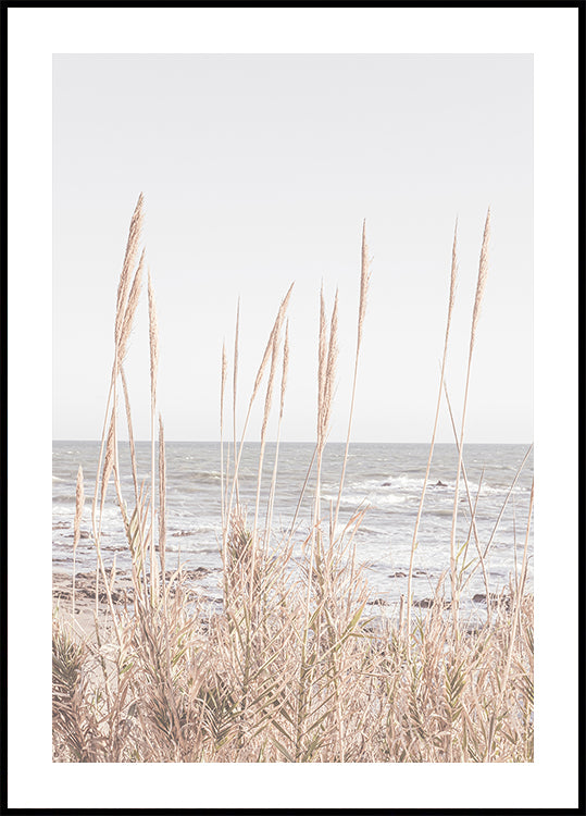Beach_Vass_001 juliste