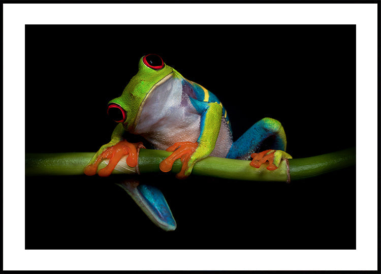 Uteliaisuuden juliste