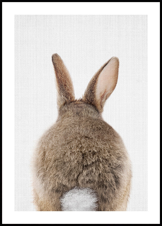 Peekaboo Bunny Tail -juliste