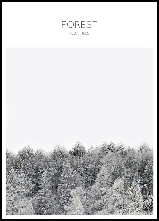 Frosted Tranquility (UUSI)