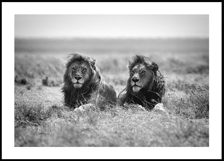 Kaksi kuningasta -juliste