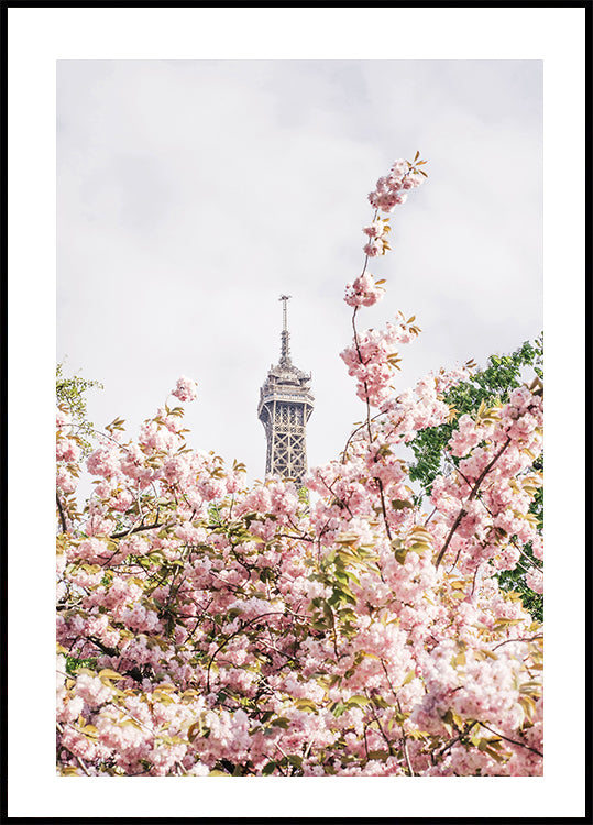 Pariisin juliste 