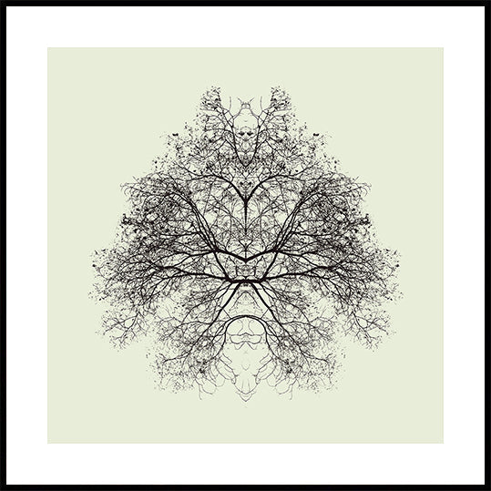 Rorschachin testijuliste