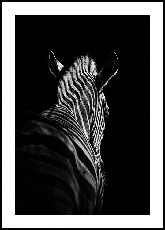 Stepping Down Nro 6 juliste