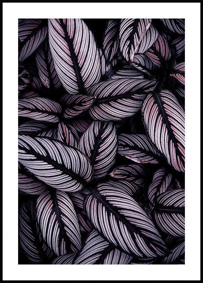 Purple Leaves -juliste 