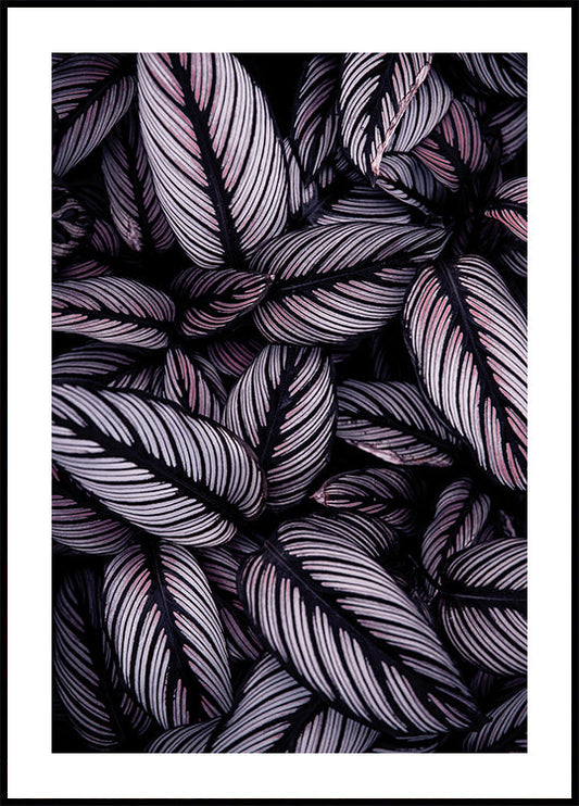 Purple Leaves -juliste 