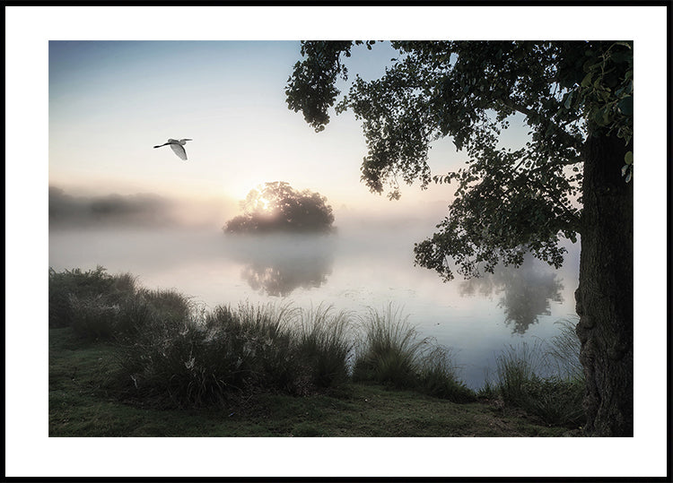 Heron Flying Over a Foggy Lake Plakat - Posterbox.dk