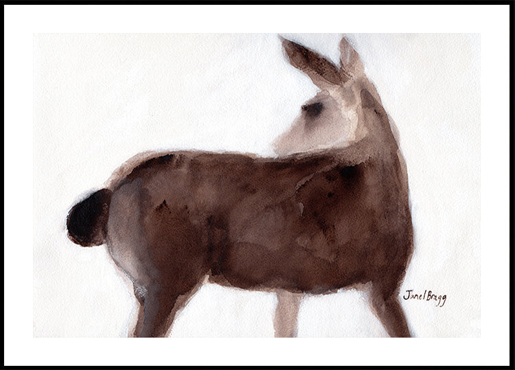 Deer On Creekside Lane -juliste