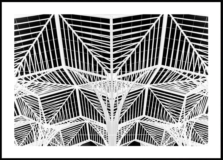 Enter the web Plakat