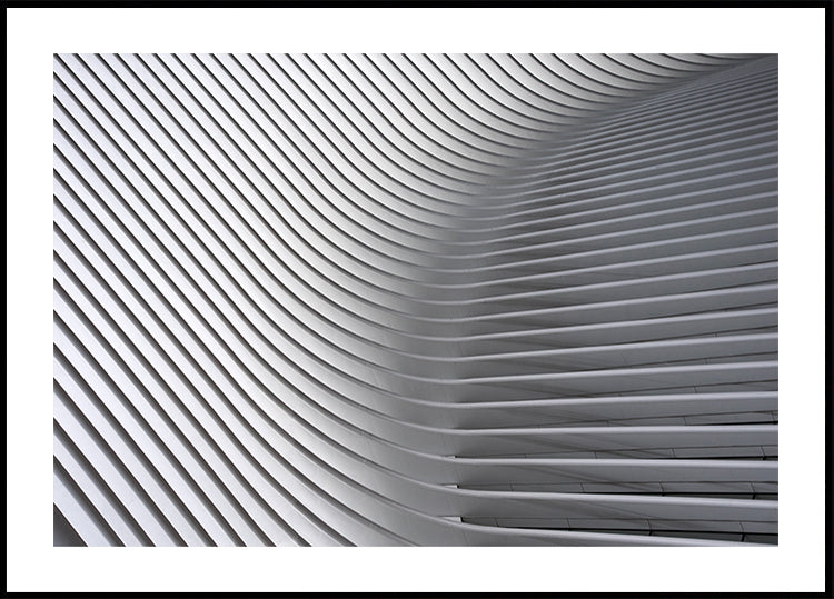 Calatrava Curves #2 -juliste