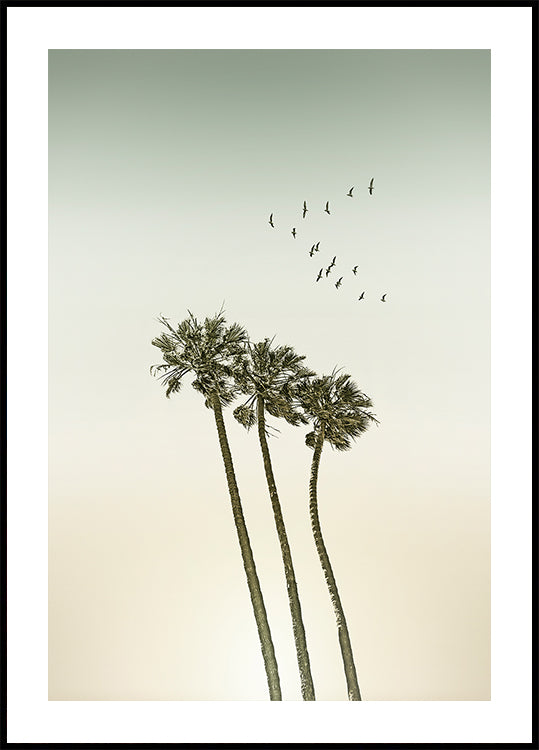 Vintage minimalistisia palmuja ja auringonlaskujuliste