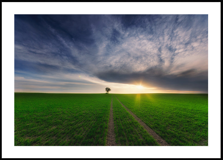 yksinäinen auringossa