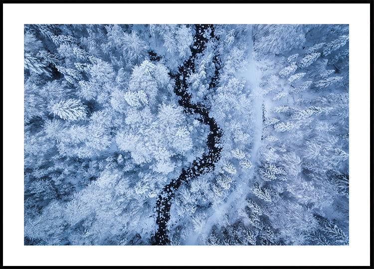 Jäätävän kylmän kauneuden juliste