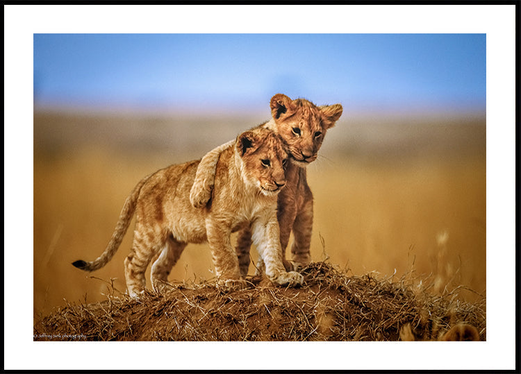 Brothers for Life -juliste