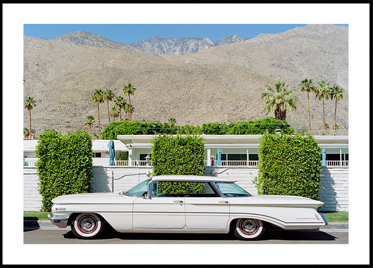 Palm Springs -matka
