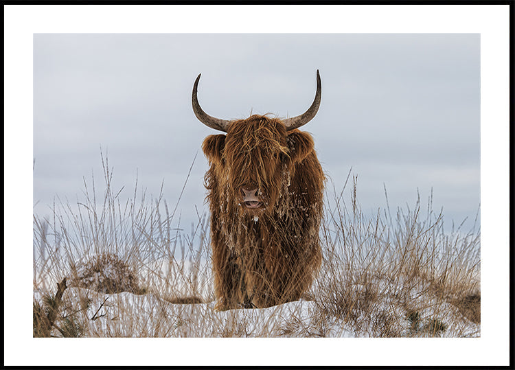 Highlander lumijulisteessa