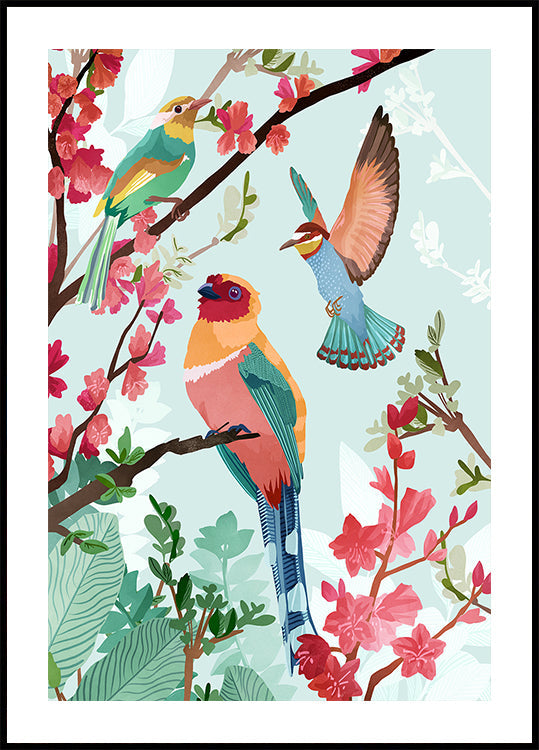 Birds of Summer -juliste