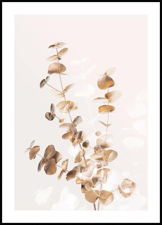 Eucalyptus Creative Gold 03 -juliste