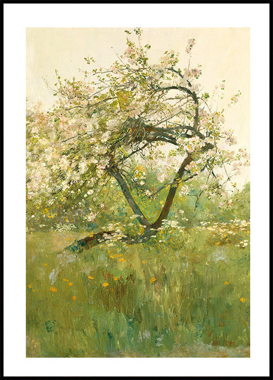 Peach Blossoms Villiers-le-Bel kirjoittanut Childe Hassam Juliste 