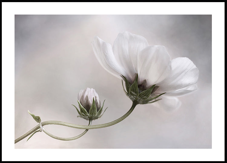 Yksinkertaisesti Cosmos