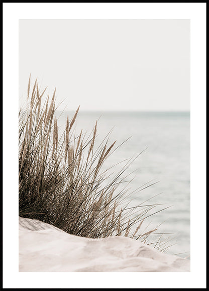 Grass by the Sea -juliste