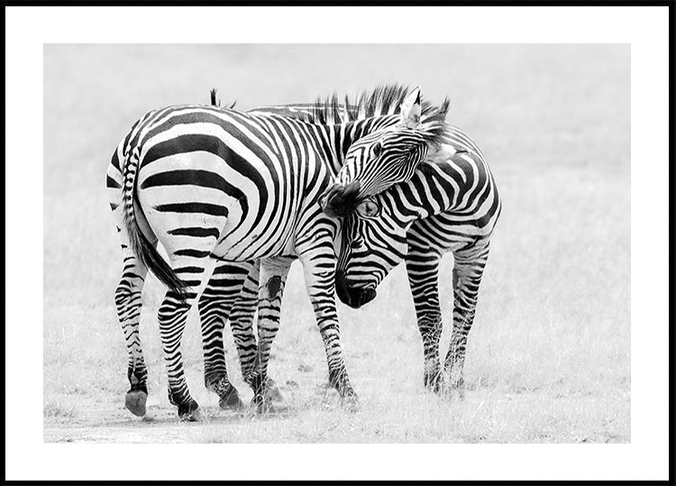 Tender Moment -juliste