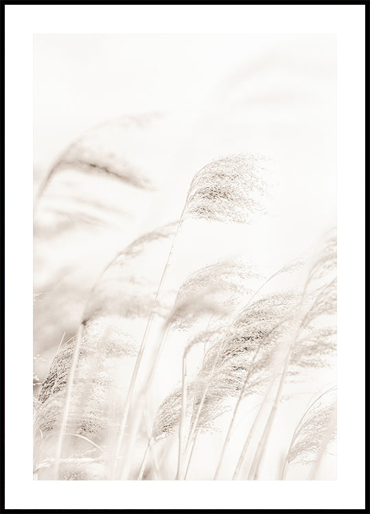 REED juliste