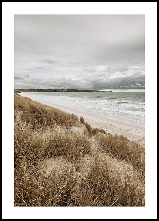 Grass On The Beach -juliste 