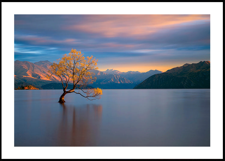 Morning Glow -juliste