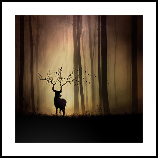 legends d'automne juliste