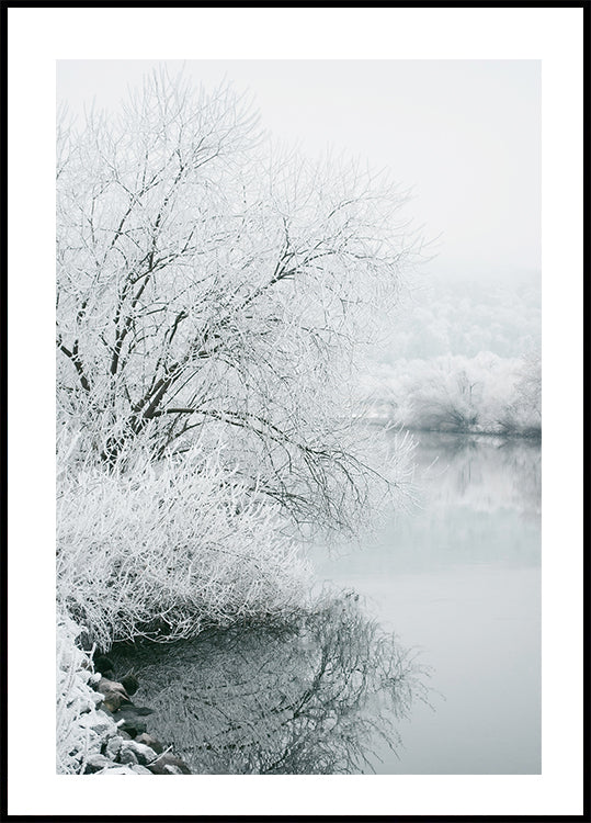 Winter Lake -juliste 