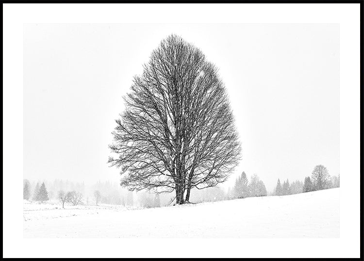 LONELY TREE -juliste