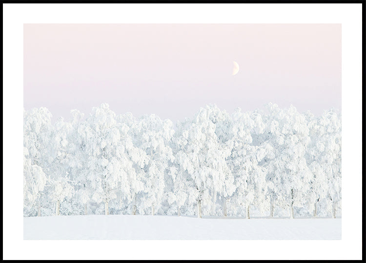 Pink winter magic Plakat