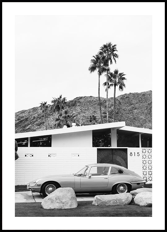 Palm Springs Ride II -juliste