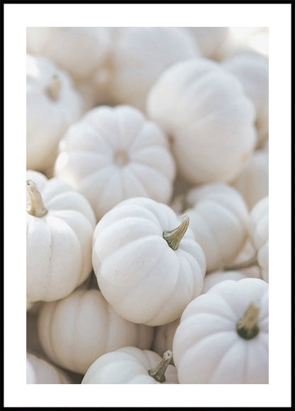 White Pumpkins Esteettinen juliste