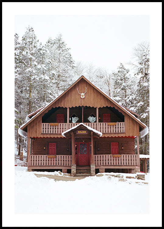 New Yorkin osavaltion osavaltion lumi XI -juliste