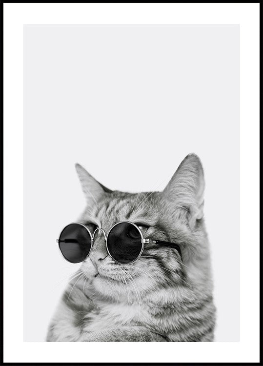 Cool Cat in Shades -juliste