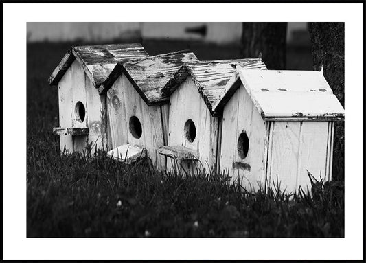 Birdhouses juliste