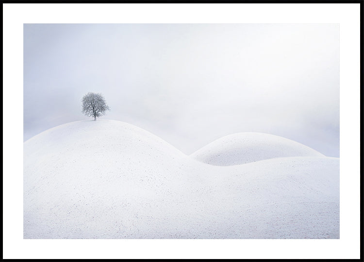 Lone Tree on Winter Dunes -juliste