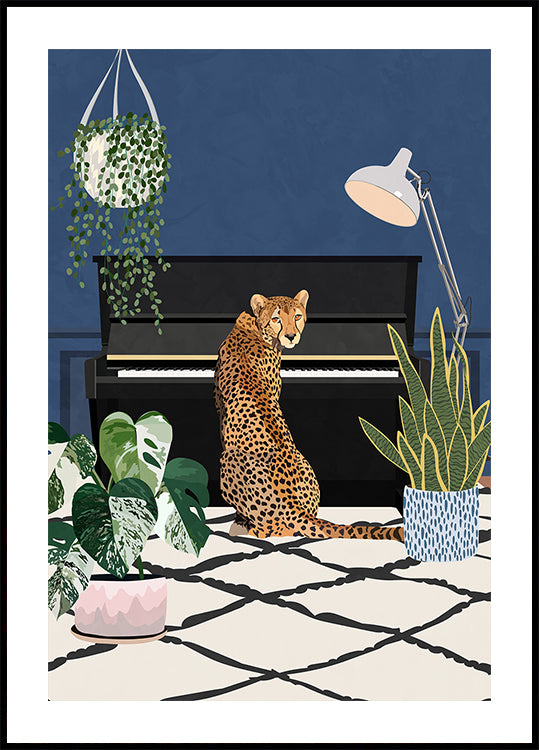 Gepardi soittaa pianoa Juliste