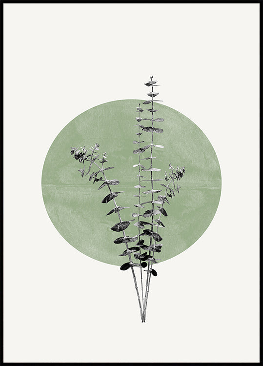 Nature's Echo -juliste