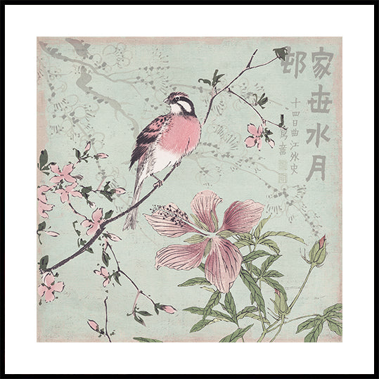 Chinoiserie No1 (UUSI)
