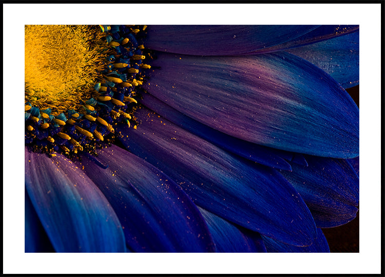 Blue Rays juliste